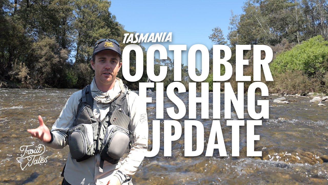 Fish Are Rising The fish are rising and we're ready for it! - October Fly Fishing in ...