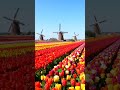 Discover The Most Amazing Spring Destinations To Visit Discover The Most Amazing Spring Destinations To Visit