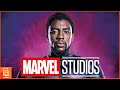MCU Fans urge Marvel not to recast Black Panther