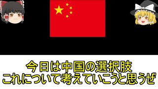 中国の生き残り選択について考えてみた【雑談】