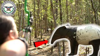 Take Aim with 3D Archery at The Talladega Marksmanship Park screenshot 5