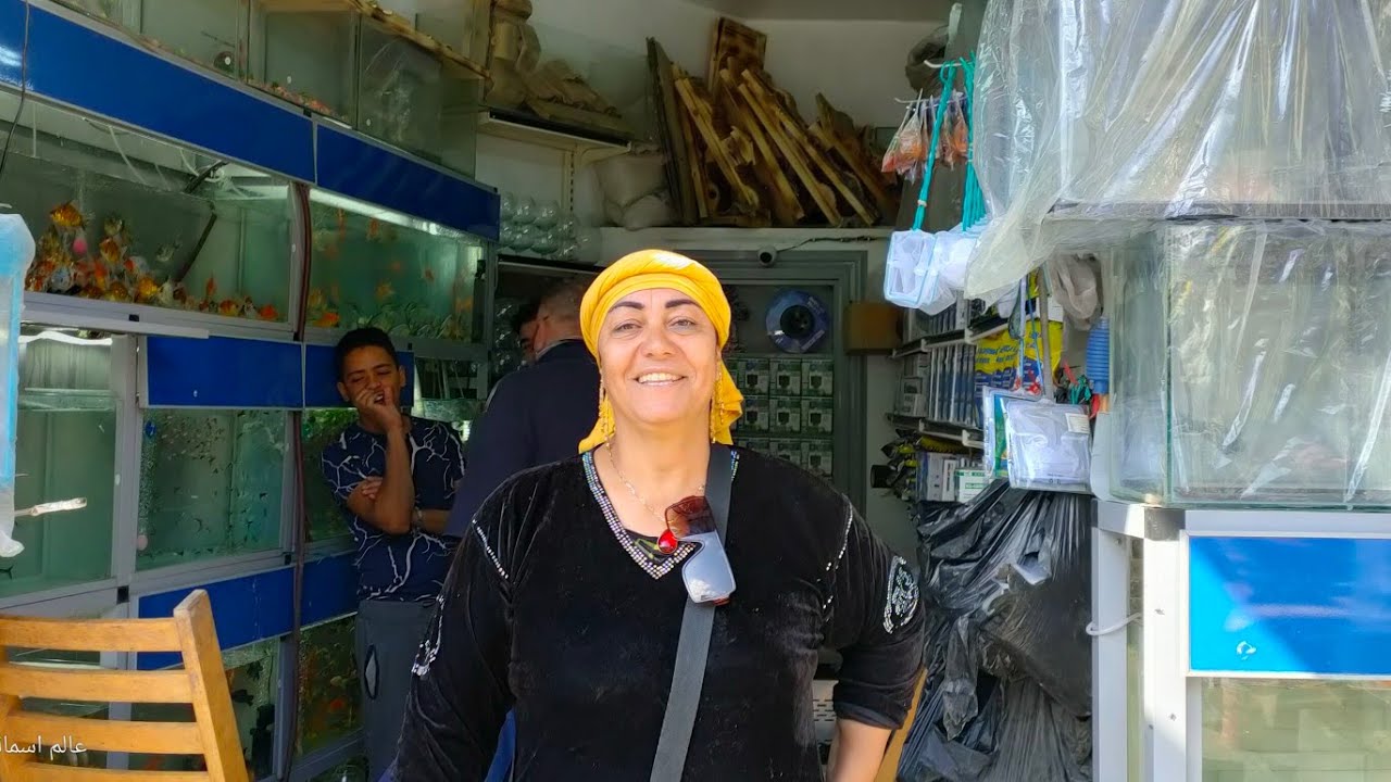 محل ام حنان سوق الجمعه بالسيدة عائشة جميع مستلزمات اسماك الزينه واسماك الزينه طول ايام الاسبوع