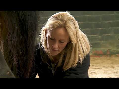 Video: Voervergiftiging Bij Paarden