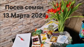 Посев семян 13 марта 2024 года