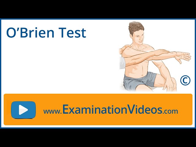 O'Brien's Test – How To Make Sense Of The Active Compression Test - The  'Go-To' Physio