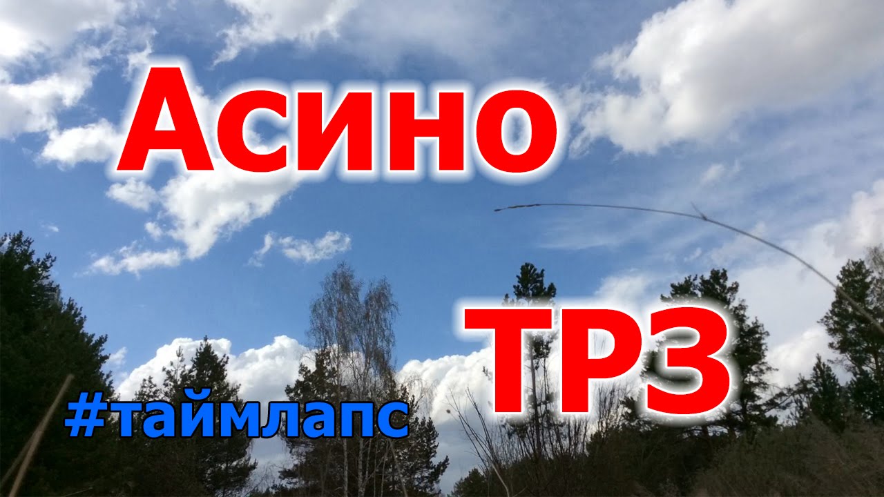 Прогноз погоды асино на 10 дней. Асино. Асино ТРЗ. Лес Асино. Асино ТРЗ Томская область.