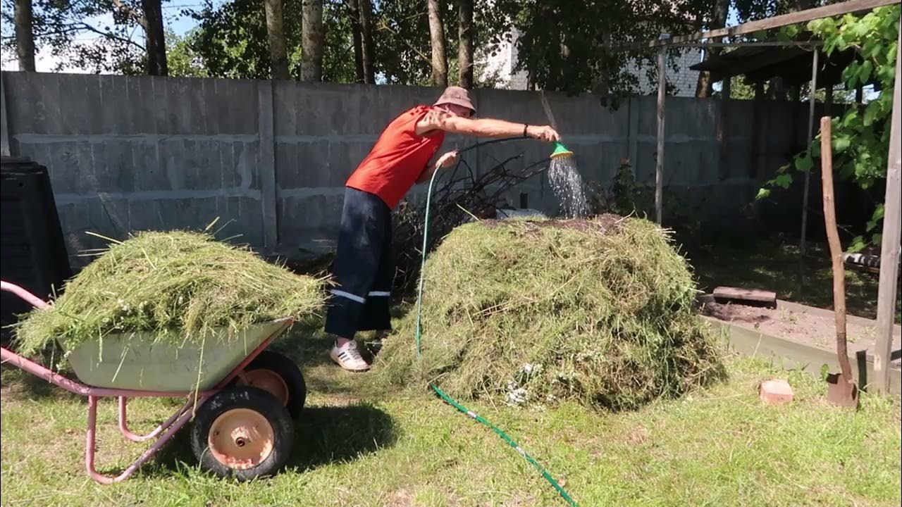 Как сделать дрожжи для подкормки. Как сделать дрожжи для подкормки