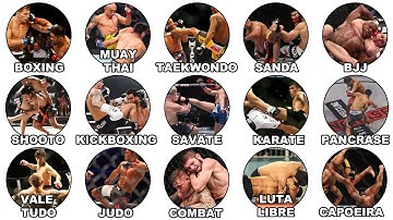 Every Martial Art in the UFC Explained in 36 Minutes
