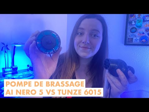 Pompe de brassage
