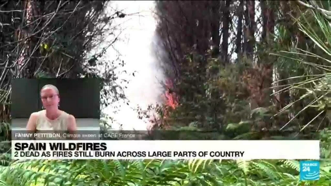 Wildfires in France: ‘Emmanuel Macron has not been the climate champion that he claims to be’