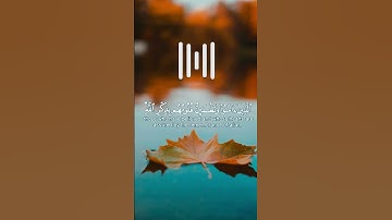ثواني ارح قلبك المتعب قليلا😔🎧|الذين امنوا وتطمئن قلوبهم بذكر الله، قران كريم ، للقاري عبدالرحمن مسعد