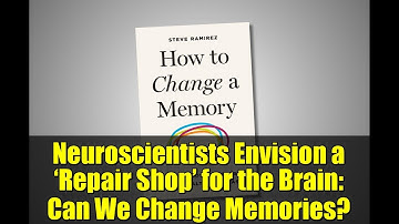 Neuroscientists Envision a ‘Repair Shop’ for the Brain: Can We Change Memories?