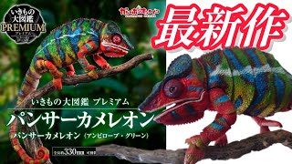 いきもの大図鑑プレミアム パンサーカメレオン グリーン レッド mqdefault.jpg