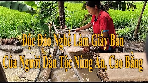 🌟 Độc Đáo Nghề Làm Giấy Bản Của Người Dân Tộc Nùng An, Cao Bằng | Khám Phá Việt Nam