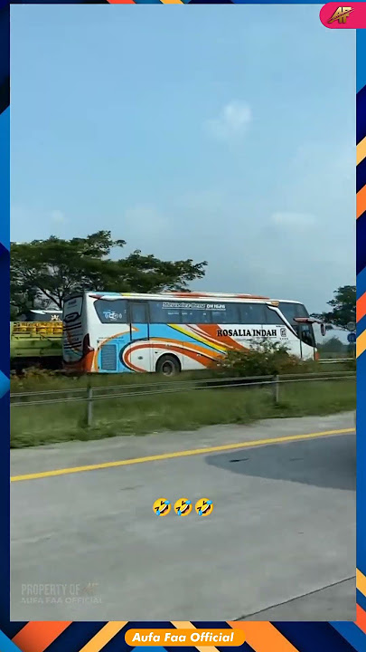 The STJ Kinandira Bus Travels at Breakneck Speed, Rivaling the Rosin Bus