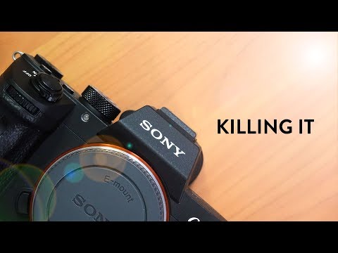 Why Sony is absolutely KILLING it right now