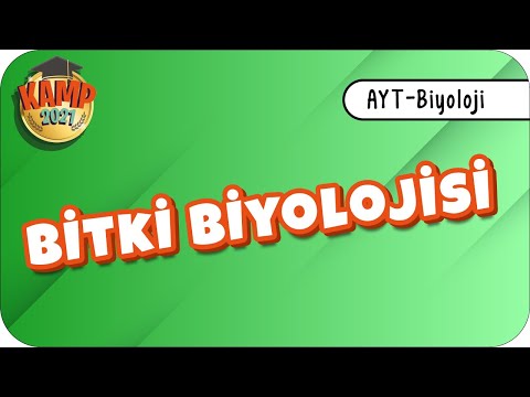 Video: Bitki şişesi: kullanışlı özellikler, uygulama