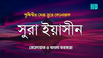 সূরা ইয়াসীন | Surah Yaseen (سورة يس) | With Bangla Translation Full | বাংলা তরজমা সহ | Surah Yasin