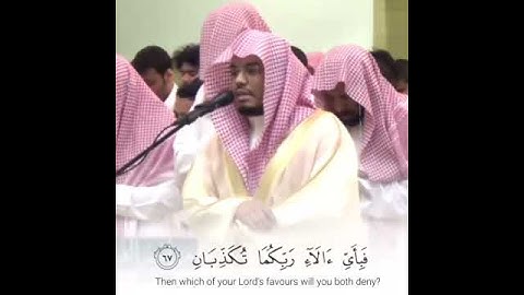 ياسر الدوسري{فيهما عينان نضاختان}سورة الرحمن