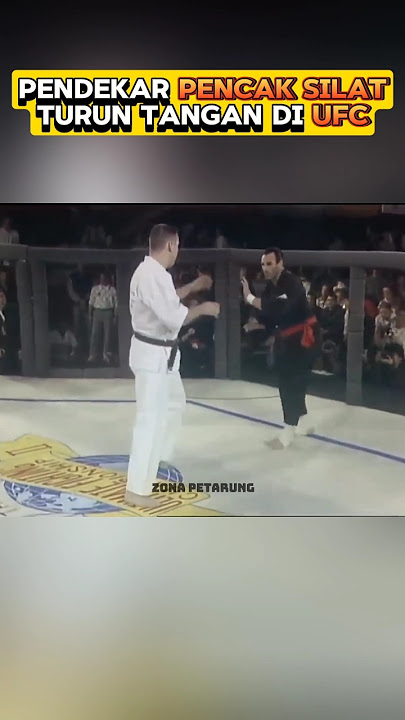 Pencak Silat Fighter Slaughtered in UFC Match #mma #pencaksilat #ufc