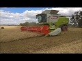 Žatva 2018 , 4x Claas lexion ,Fendt,5x New Holland / SPD Veselé