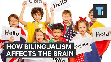 A neuroscientist explains how being bilingual makes your brain more robust