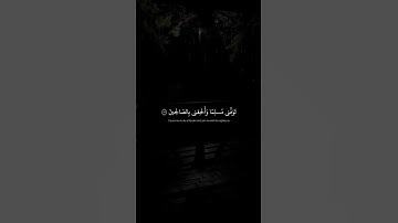 تَوَفَّني مُسلِمًا وَأَلحِقني بِالصّالِحينَ ｜ محمد صديق المنشاوي ｜ سورة يوسف