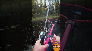 Рыбалка в Карелии на спиннинг ,тестирую приманки ручной работы.#рыбалка #FishingKarelia #джиг #fk10