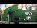 One Man, Tons Of Work| Sheathing Our Cabin Solo| Couple Builds Cabin Homestead In The Woods