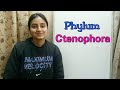 Phylum Ctenophora | Biological classification part -13 | Class XI | Lecture 41