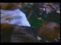 MC Nas D & DJ Freaky Fred "Gold Diggin Girls"