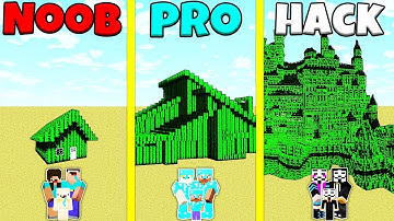 Minecraft Battle: NOOB vs PRO vs HACKER: FAMILY CACTUS HOUSE BUILD CHALLENGE / Animation