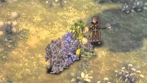 Tree of Savior - Necromancer - Dirty Wall