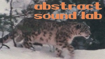 Pittsburgh Modular Abstract Sound Lab