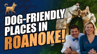 Dogs Just Wanna Have Fun: The Ultimate Guide to Roanoke's Pet-Friendly Scene
