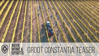 How is Wine Made? 🍇 Groot Constantia, the oldest Wine-producing Estate in South Africa (Teaser)