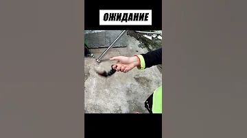 Нож Керамбит Ожидание Vs Реальность Shorts 