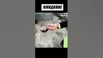 Нож Керамбит Ожидание vs Реальность😄 #shorts