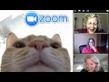 trolling online zoom classes... (but its wholesome asf)