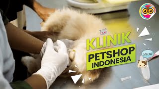 Klinik Petshop Indonesia