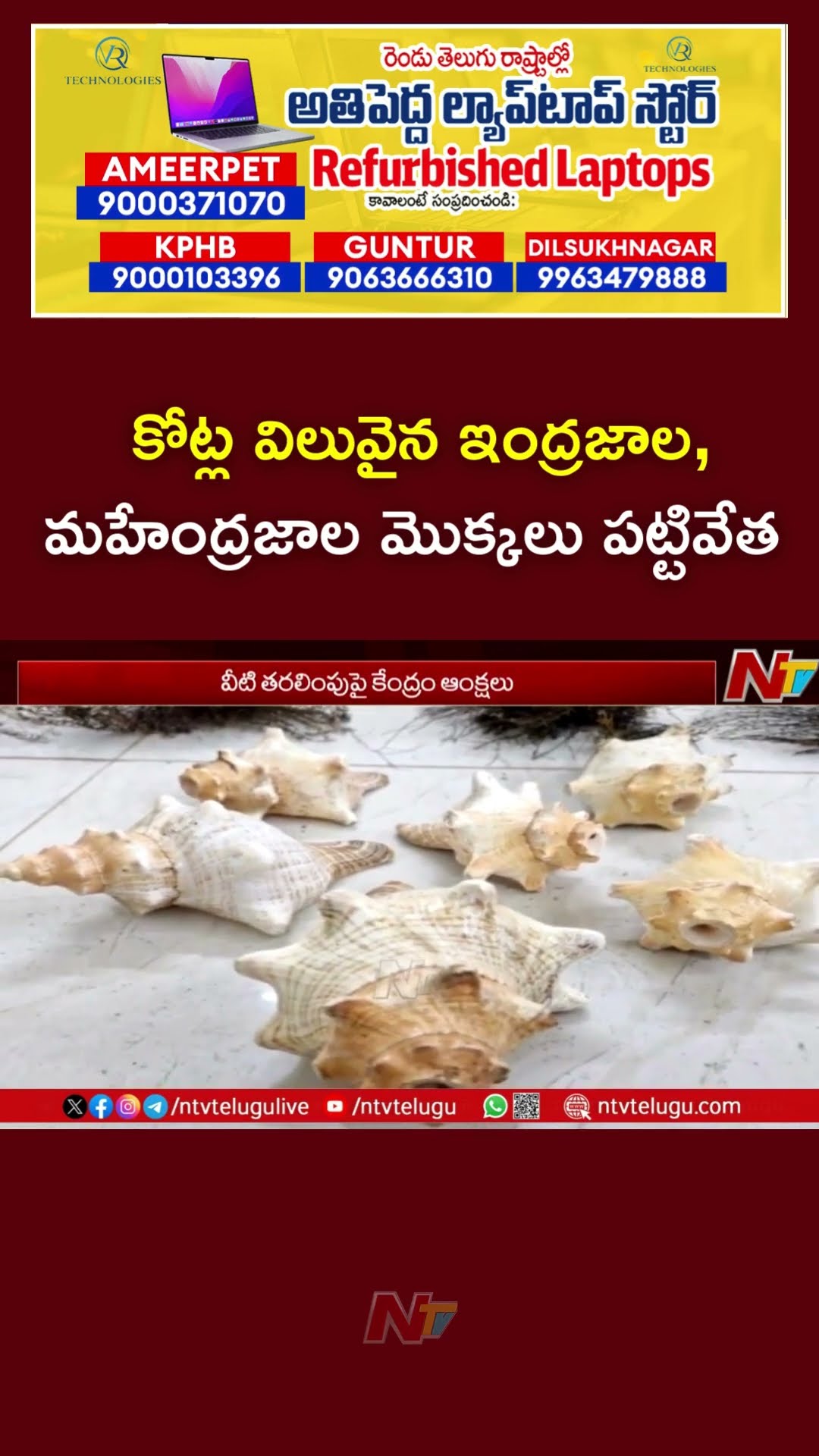 Police Arrest Man For Smuggling Rare Plants | Ntv