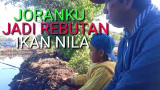 MATA PANCINGKU JADI REBUTAN IKAN NILA screenshot 5