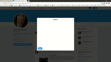 How to Report a Fake Twitter Account