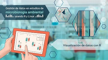 Visualización de datos con R