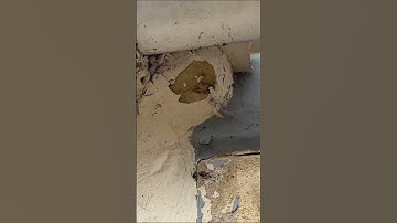 How to Spot & Prep Water Damaged Render for Repair