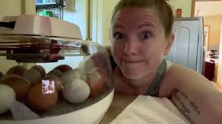 First time using an incubator! Day 21 of 21. We have a cracked egg!