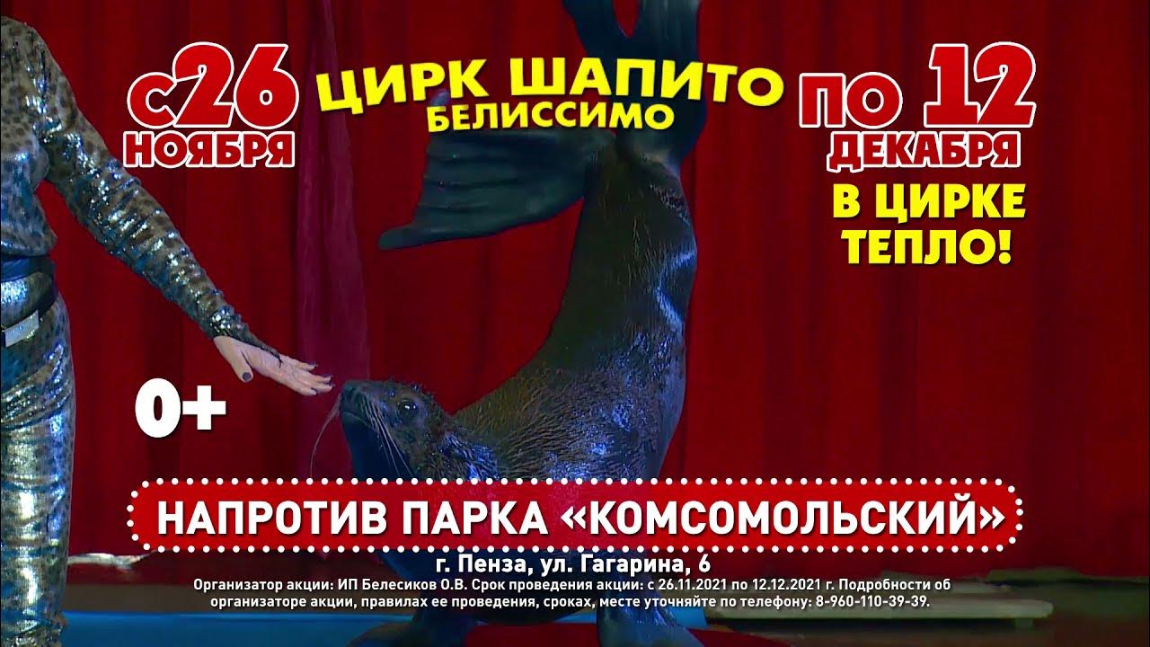 Приглашаем в цирк. Цирк белиссимо новошахтинск. Цирк максимус фото шапито. Приезжий цирк белиссимо ставрополь. Цирк белиссимо новошахтинск.