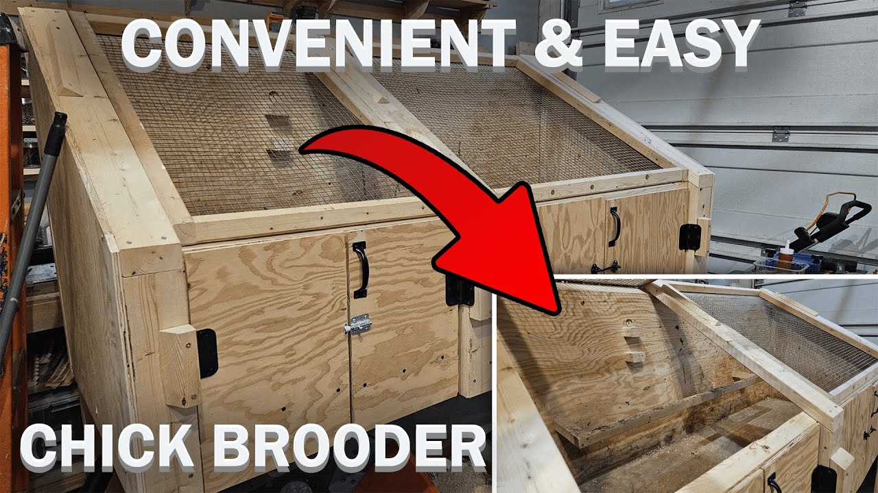 THE ULTIMATE CHICK BROODER BUILD DESIGN | RAISING CHICKENS PT. 2