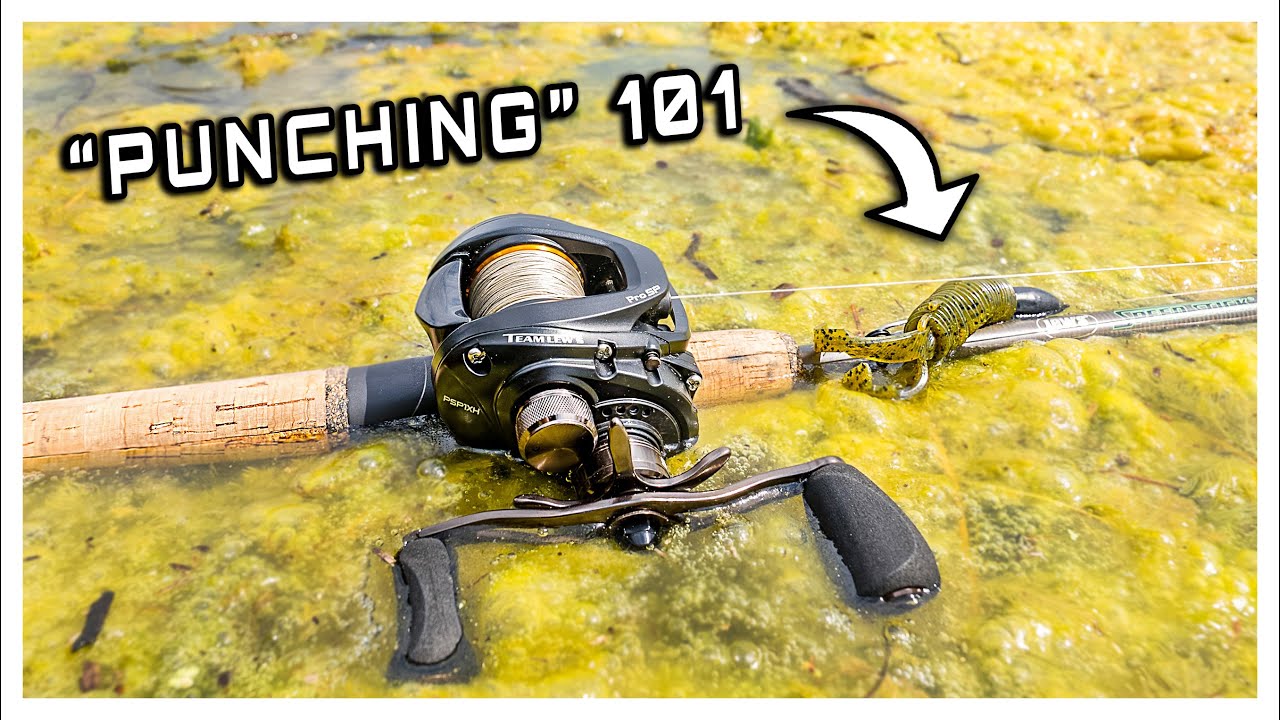 Fishing THICK Matted Grass For BASS (Punching Tips & Tricks) YouTube
