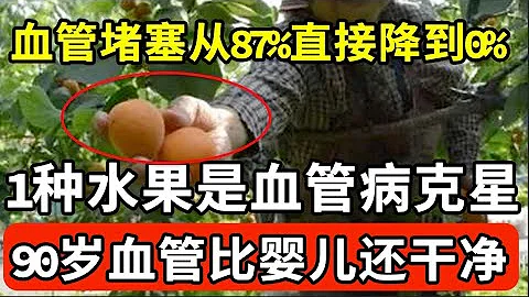 1种水果是血管病克星！每天饭后啃一个，血管堵塞从87%直接降到0%，吃一次，血管就被冲洗一遍，找不到一点斑块和垃圾【我是大医生】 - 天天要闻